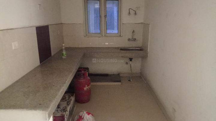 Dreamland The Willows Main Image 1