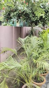 3 BHK Independent House