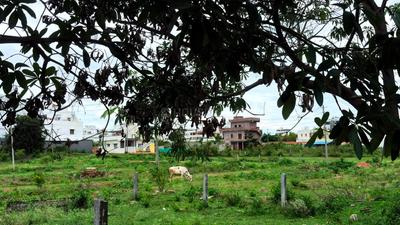 Image of 800 Sq.ft Residential Plot / Land for sale in Dattagalli Third Stage, Mysore for Rs. 5600000