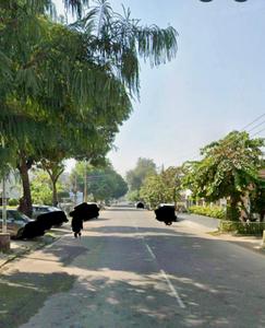 Image of 9000 Sq.ft 5 BHK Independent House for sale in Sector 28, Chandigarh for Rs. 380000000