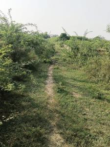 Image of 550 Sq.ft Residential Plot / Land for sale in XU III, Greater Noida for Rs. 41250000