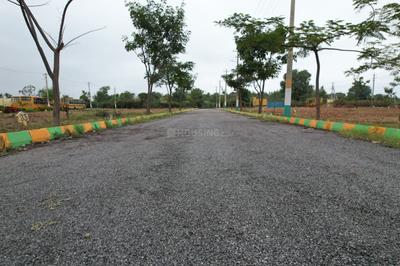 Sri Banashanki layout  Plot View 1