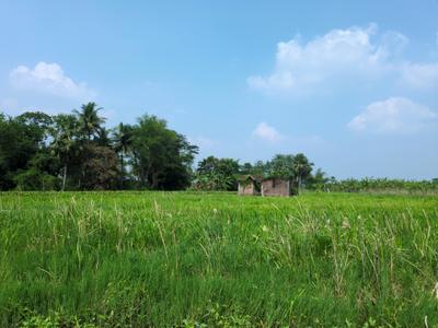 Image of 720 Sq.ft Residential Plot / Land for sale in Natures Paradise, Joka, Kolkata for Rs. 199999
