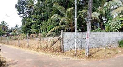 Kuttanellur Plot View 2