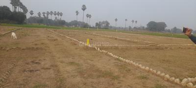 Bihta Plot View 2