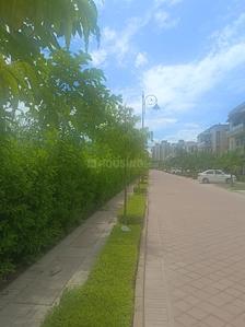 Image of 2250 Sq.ft 3 BHK Builder Floor for sale in BPTP Amstoria , Sector 102, Gurgaon for Rs. 24000000