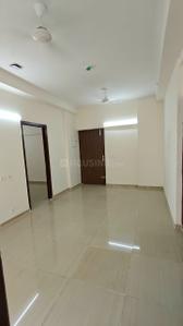 Hall Image of 1221 Sq.ft 2.5 BHK Apartment / Flat for rent in Amrapali Verona Heights, Noida Extension Greater Noida for Rs. 19000