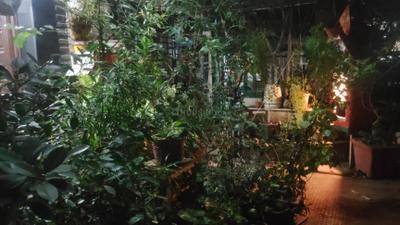 Image of 2500 Sq.ft 5 BHK Villa for sale in Sindhi Society, Chembur, Mumbai for Rs. 65000000