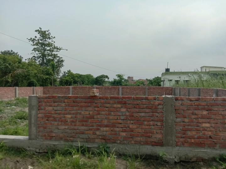 Apparent JB Garden Main Image 1