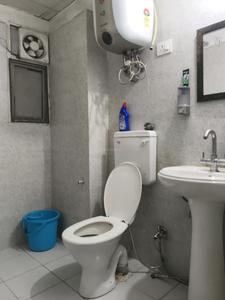Common Bathroom Image of 915 Sq.ft 2 BHK Apartment / Flat for sale in Panchsheel Greens 2, Noida Extension Greater Noida for Rs. 7500000