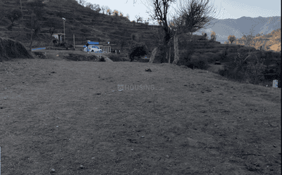 Image of 9720 Sq.ft Residential Plot / Land for sale in Balta, Almora for Rs. 6000000