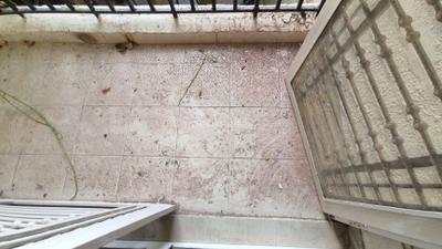 Bedroom Image of 1360 Sq.ft 3 BHK Apartment / Flat for sale in Paramount Floraville, Sector 137 Noida for Rs. 17100000