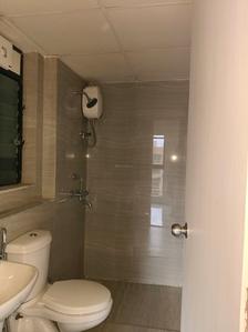 Common Bathroom Image of 611 Sq.ft 1 BHK Apartment / Flat for rent in Runwal Gardens Phase 2 Bldg No 13 17, Dombivli East Thane for Rs. 12499