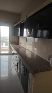 Kitchen Image of 1730 Sq.ft 3 BHK Apartment / Flat for rent in Paramount Golfforeste Villas, Surajpur Greater Noida for Rs. 26000