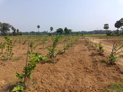 Image of 200 Sq.ft Residential Plot / Land for sale in Kothavalasa, Visakhapatnam for Rs. 1200000