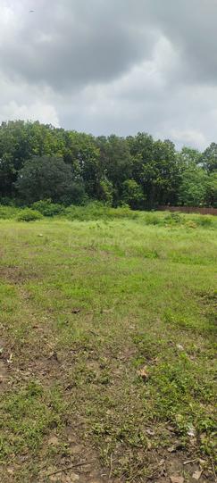 Manduwala Main Image 1