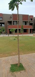 Image of 3250 Sq.ft 4 BHK Independent House for sale in Raysan, Gandhinagar for Rs. 55000000