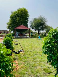 Image of 600 Sq.ft Residential Plot / Land for sale in Dhankya, Jaipur for Rs. 9000000