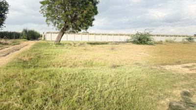 Image of 900 Sq.ft Residential Plot / Land for sale in Barsana, Mathura for Rs. 1000000