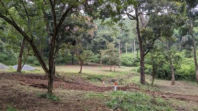 Image of 9147 Sq.ft Residential Plot / Land for sale in Vilpatti, Kodaikanal for Rs. 250000