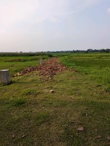 Image of 1440 Sq.ft Residential Plot / Land for sale in Asha Enclave, New Town, Kolkata for Rs. 2400000