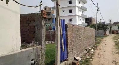 Beur Plot View 3