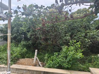 Image of 1270 Sq.ft Residential Plot / Land for sale in Bannerughatta, Bengaluru for Rs. 5334000