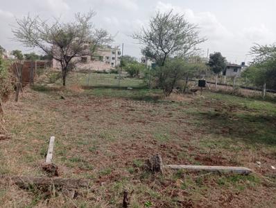 independent plot Plot View 3
