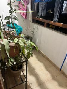 Balcony Image of 1170 Sq.ft 2 BHK Apartment / Flat for rent in Suraram Hyderabad for Rs. 18000