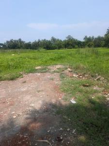 Natures Paradise Internal Roads 1