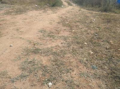 Residential Plot