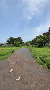 Image of 550 Sq.ft Residential Plot / Land for sale in Porvorim, Goa for Rs. 43000000