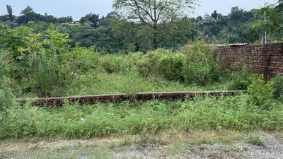 Pushpanjali Orchid Park Plot View 3