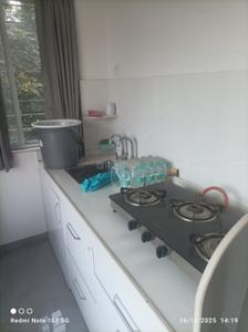Kitchen Image of 595 Sq.ft 1 BHK Apartment / Flat for rent in Kohinoor Nano Homes, Ravet Pune for Rs. 18500