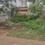 Chandan vihar sector 111 Plot View 2
