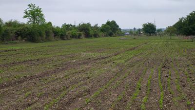 Image of 217800 Sq.ft Residential Plot / Land for sale in Badnera, Amravati for Rs. 9500000