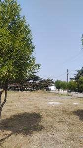 Image of 1000 Sq.ft Residential Plot / Land for sale in Bhilai Marshalling Yard, Charoda for Rs. 1600000