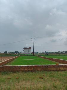 Karaundi Plot View 4