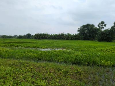 Residential Plot