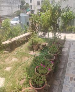 Balcony Image of 2400 Sq.ft 4 BHK Independent House for sale in Malviya Nagar Jaipur for Rs. 28000000