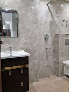 Common Bathroom Image of 600 Sq.ft 2 BHK Apartment / Flat for sale in Dream Ultra Luxury, Mahavir Enclave New Delhi for Rs. 5500000