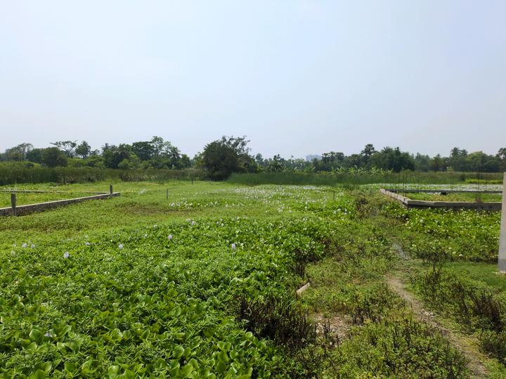 R.K.Pally Main Image 1