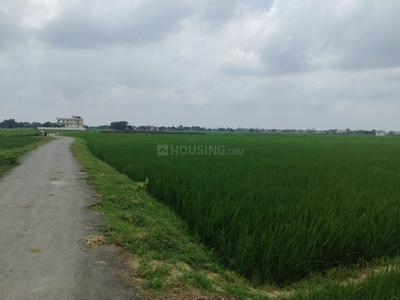Image of 43560 Sq.ft Residential Plot / Land for sale in Ashapur Village, Ayodhya for Rs. 67000000