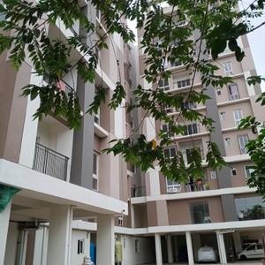 3 BHK Flat