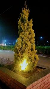 Image of 850 Sq.ft Residential Plot / Land for sale in Shashwat Corridor, Panchderiya, Indore for Rs. 3230000