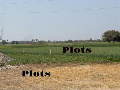 Image of 1200 Sq.ft Residential Plot / Land for sale in Fatwah, Patna for Rs. 2000000