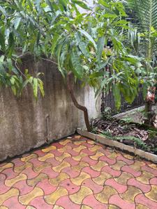 Balcony Image of 800 Sq.ft 1 BHK Independent House for rent in Karve Nagar Pune for Rs. 20000