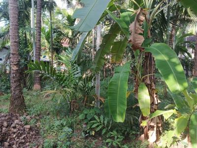 Image of 1568 Sq.ft Residential Plot / Land for sale in Illathaazha, Kannur for Rs. 1450000