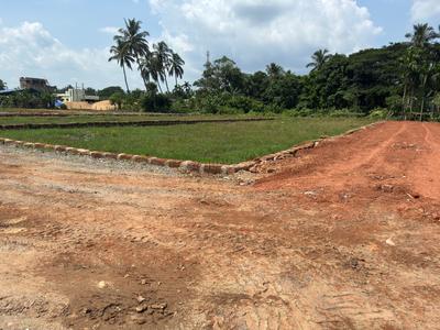 Image of 1200 Sq.ft Residential Plot / Land for sale in Dhauli, Bhubaneswar for Rs. 4200000