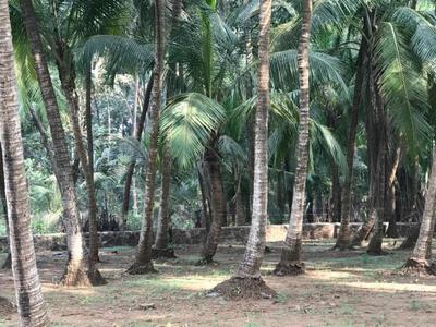 Image of 40000 Sq.ft Residential Plot / Land for sale in Bagmala, Alibag for Rs. 40000000